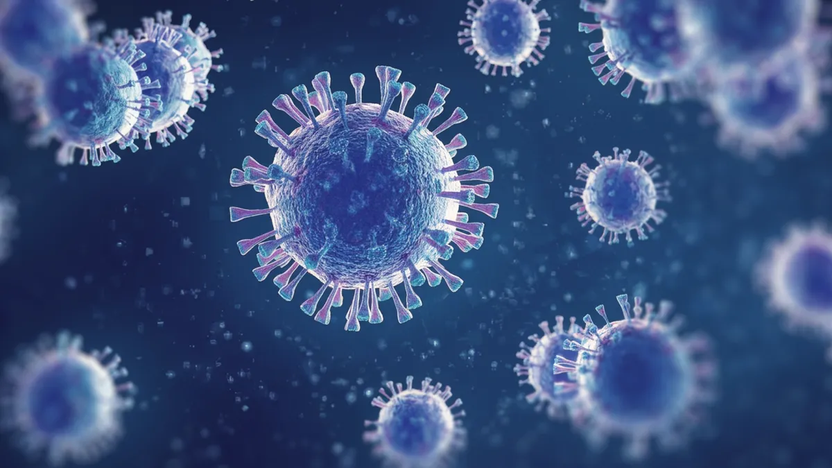 Google Research’s original image accompanying its flu forecast report.