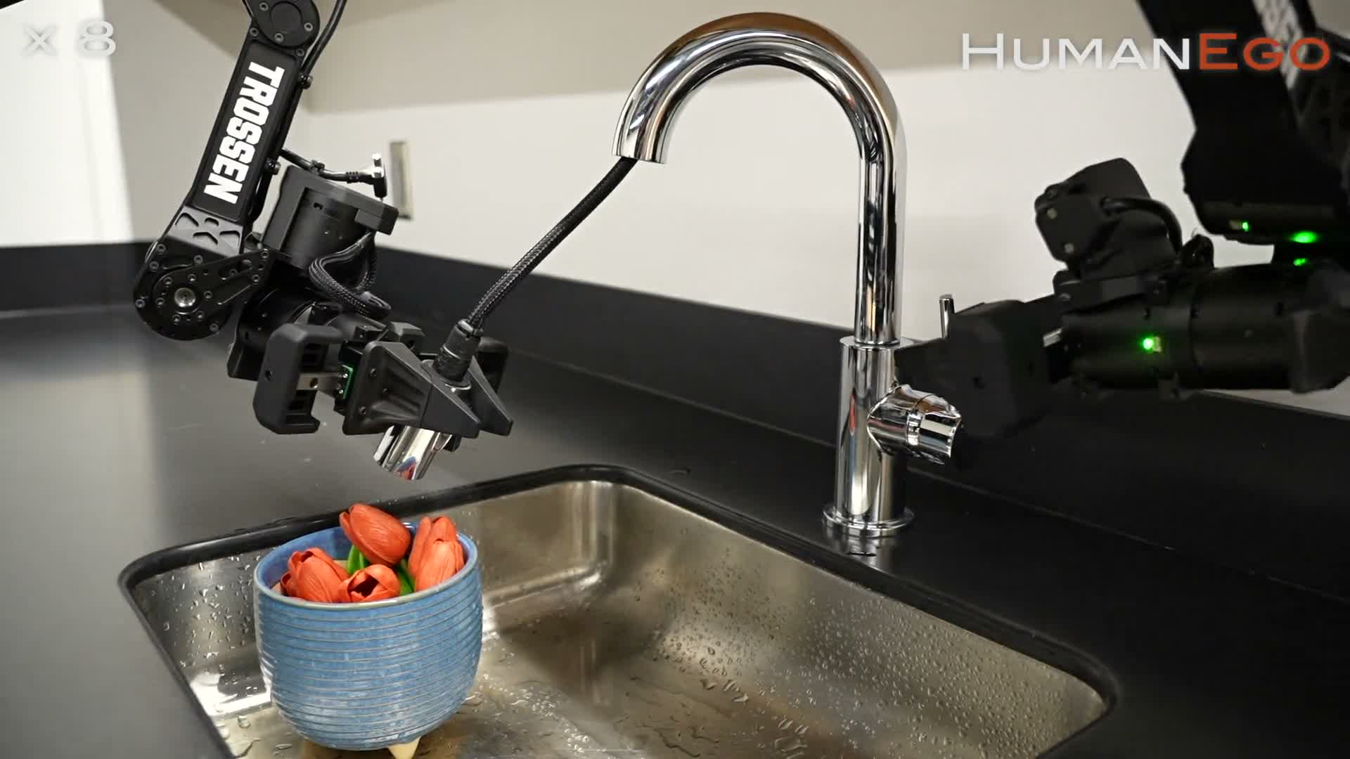 Robot arm transferring flowers in the HumanEgo source demonstration.