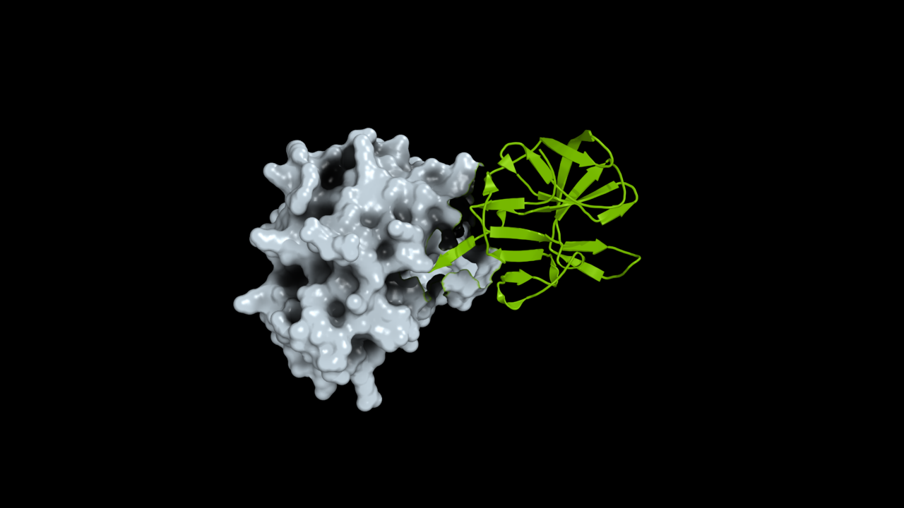 Color-coded molecular structure illustration of a predicted viral protein complex.